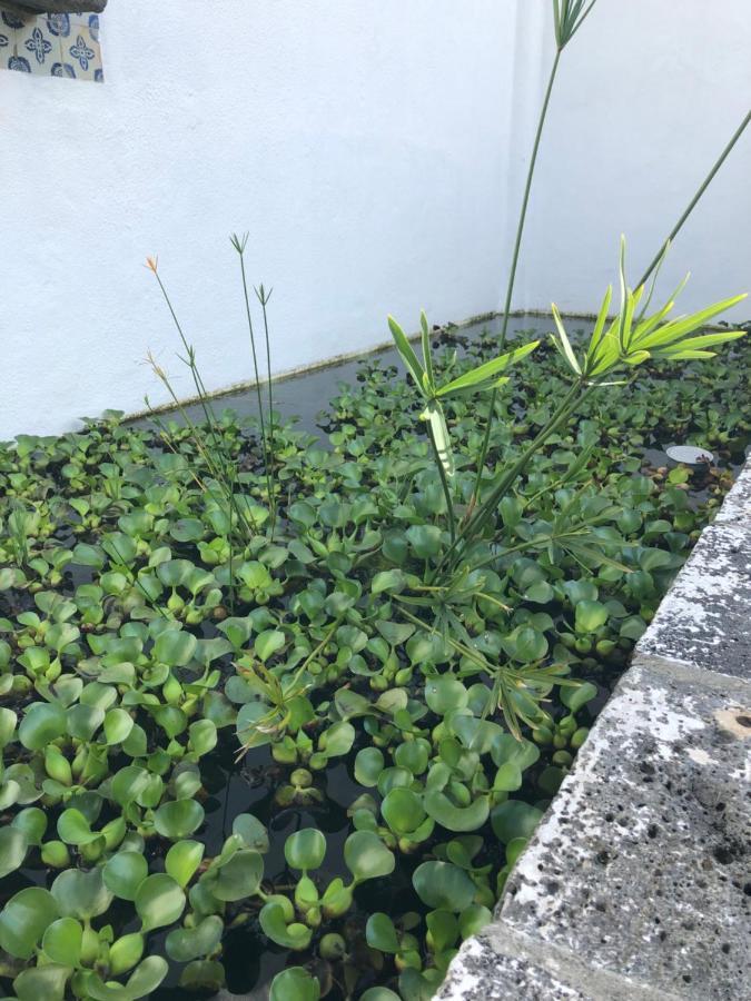 Vakantiehuis Solar Nossa Senhora Da Conceicao *