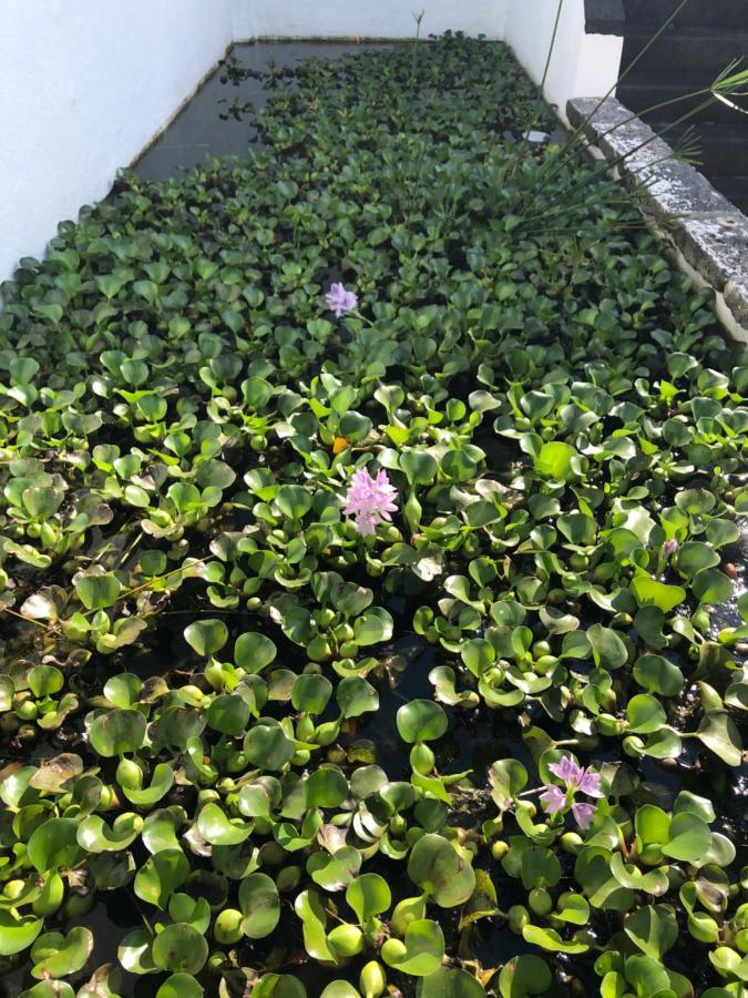 Solar Nossa Senhora Da Conceicao Holiday home *